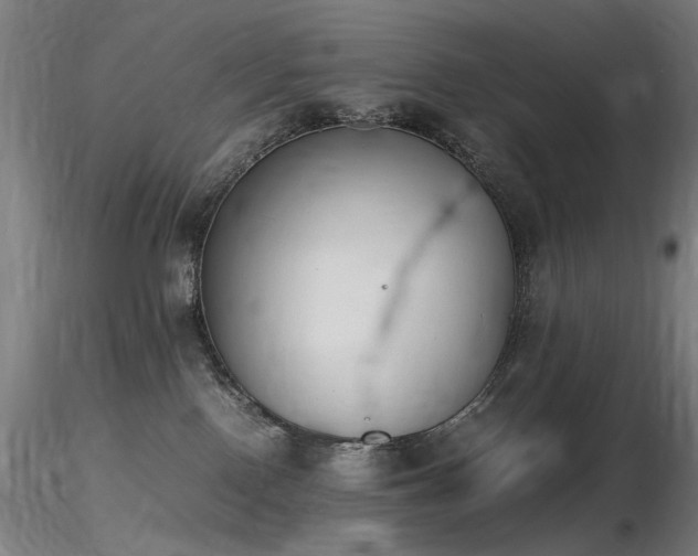 X0000116820090200912181418