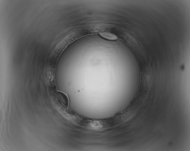 X0000116820091200912181418