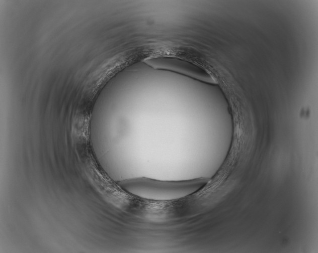 X0000116820096200912181418