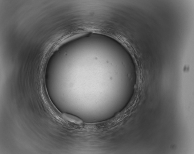 X0000116820097200912181417