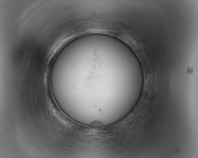 X0000116820098200912181417