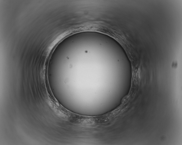 X0000116820100200912181417