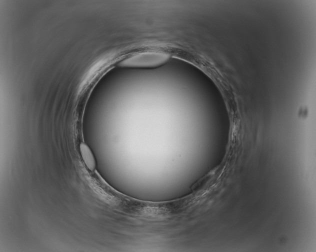 X0000116820101200912181417