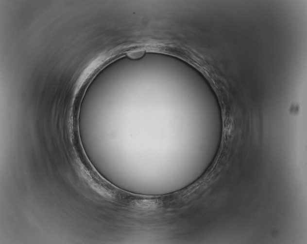 X0000116820102200912181417