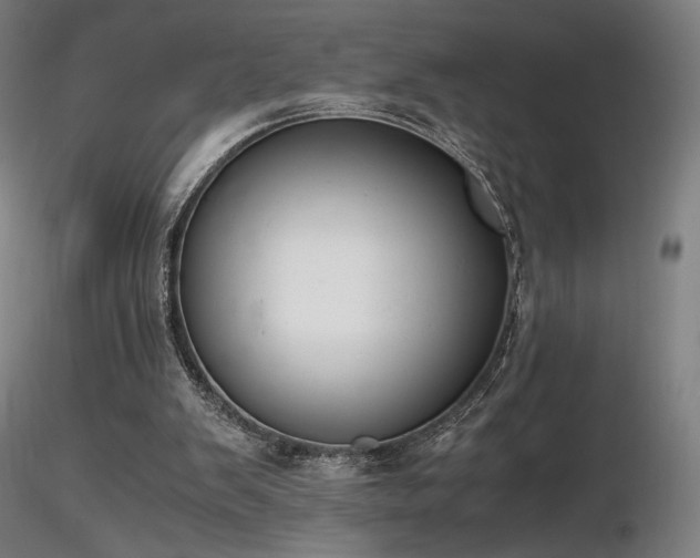 X0000116820103200912181417