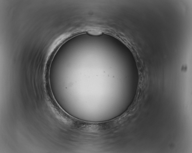 X0000116820104200912181417