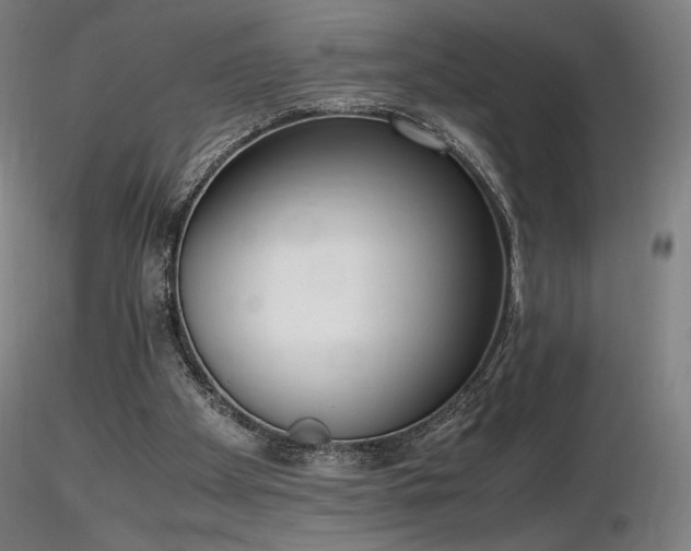 X0000116820105200912181417