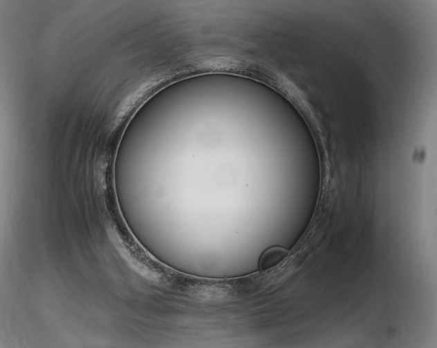 X0000116820106200912181417