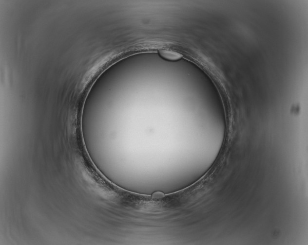 X0000116820107200912181417