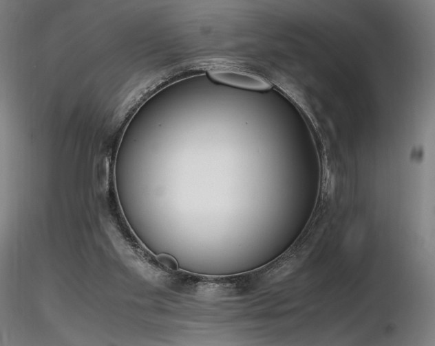 X0000116820109200912181417