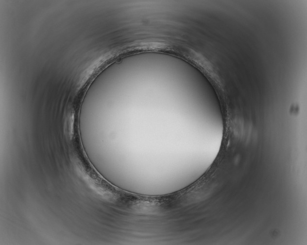 X0000116820110200912181417