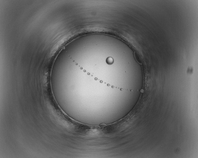 X0000116820111200912181417