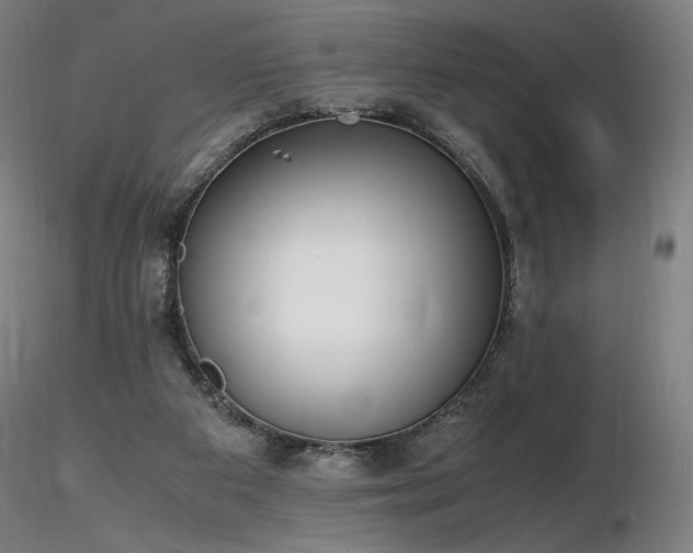 X0000116820113200912181417