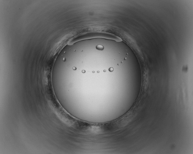 X0000116820114200912181417