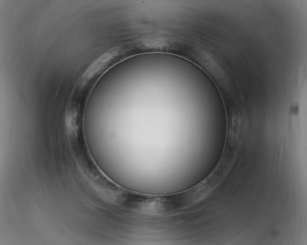 X0000116820116200912181417