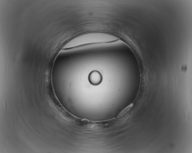 X0000116820117200912181417