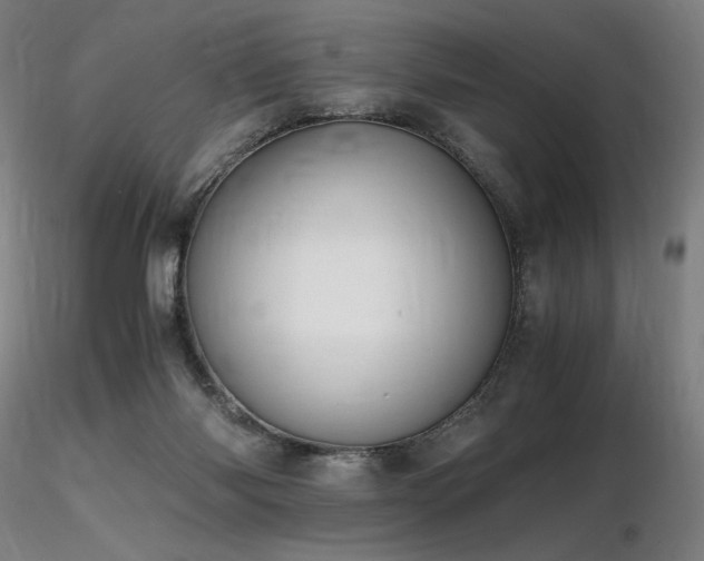 X0000116820118200912181417