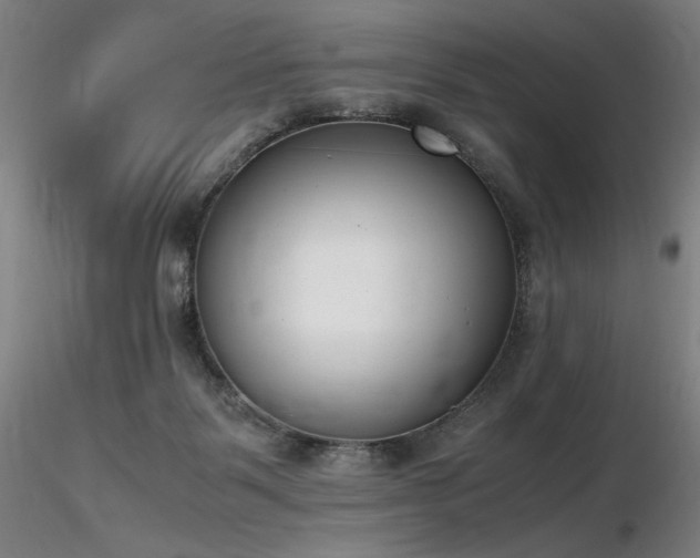 X0000116820123200912181417