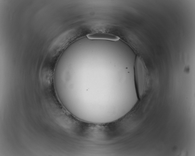 X0000116820125200912181417