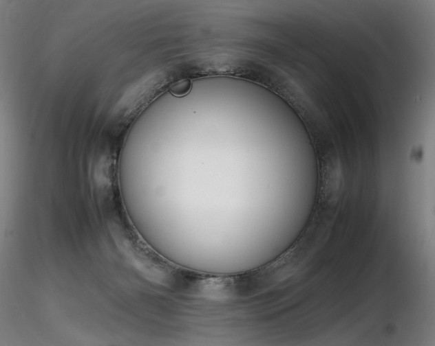 X0000116820126200912181417