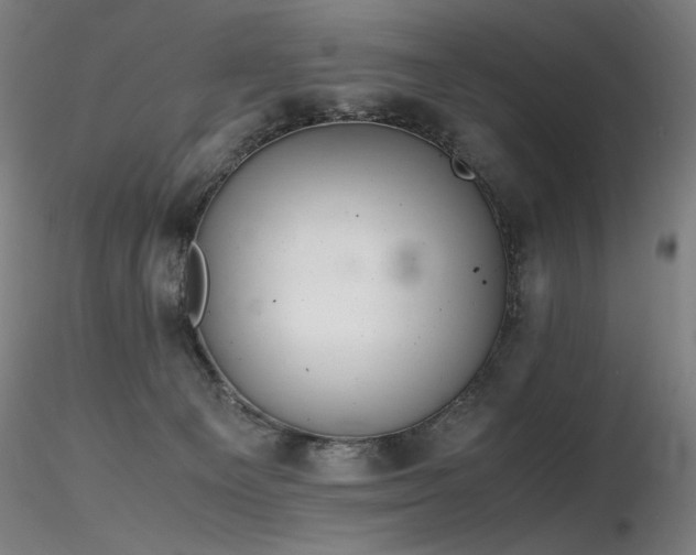 X0000116820129200912181417