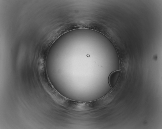 X0000116820130200912181417