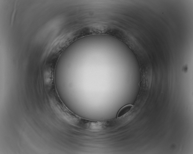 X0000116820134200912181417