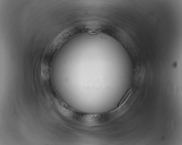 X0000116820136200912181417