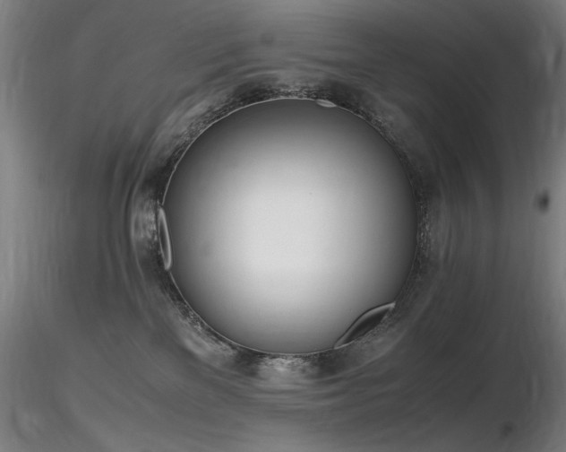 X0000116820137200912181417