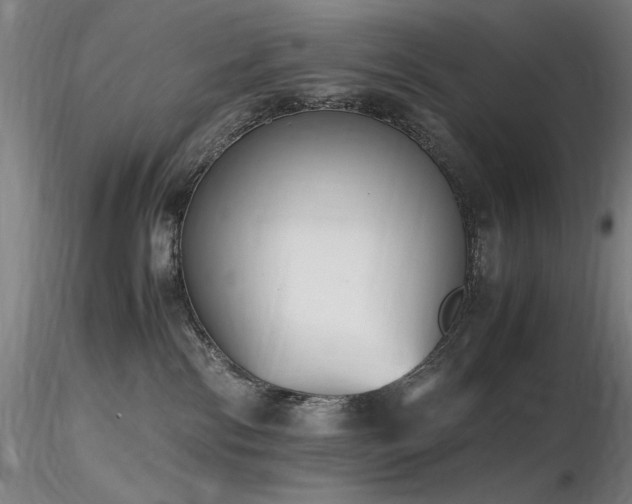 X0000116820138200912181417