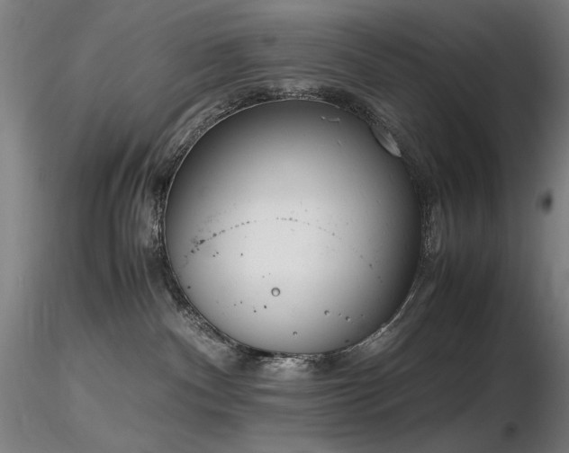 X0000116820140200912181417