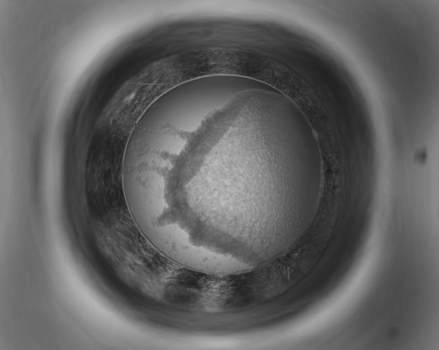 X0000116820143200912181417