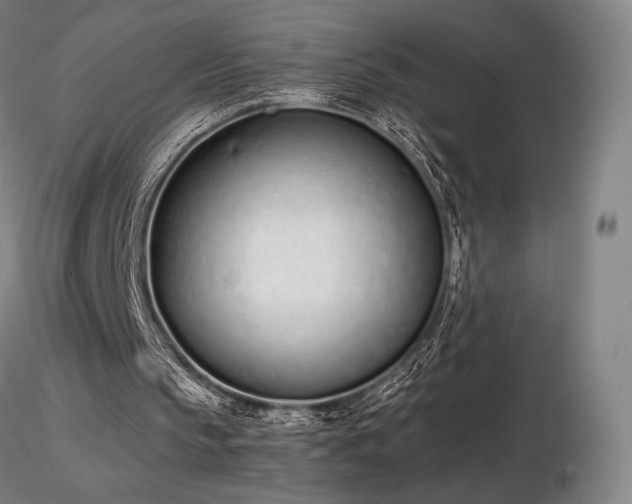 X0000116820145200912181416