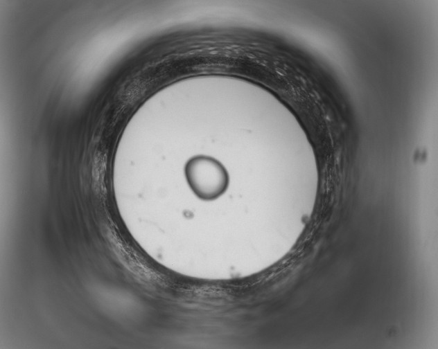 X0000116820146200912181416