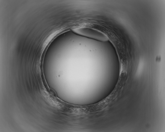 X0000116820147200912181416