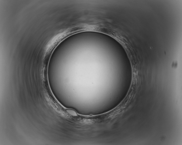 X0000116820149200912181416