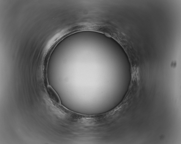 X0000116820150200912181416