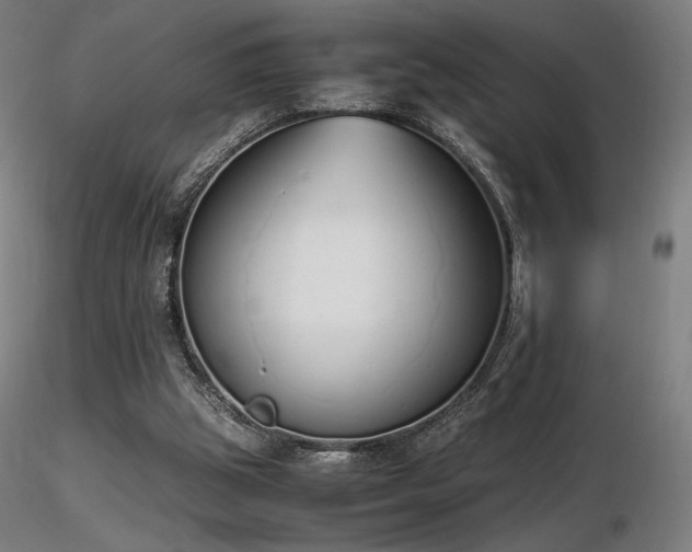 X0000116820153200912181416