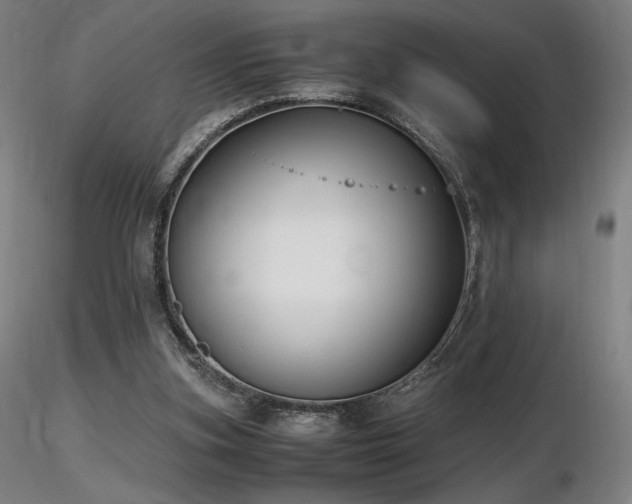 X0000116820155200912181416