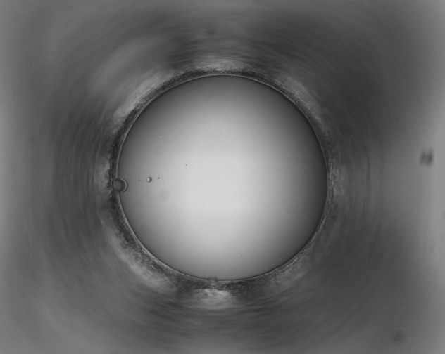 X0000116820159200912181416