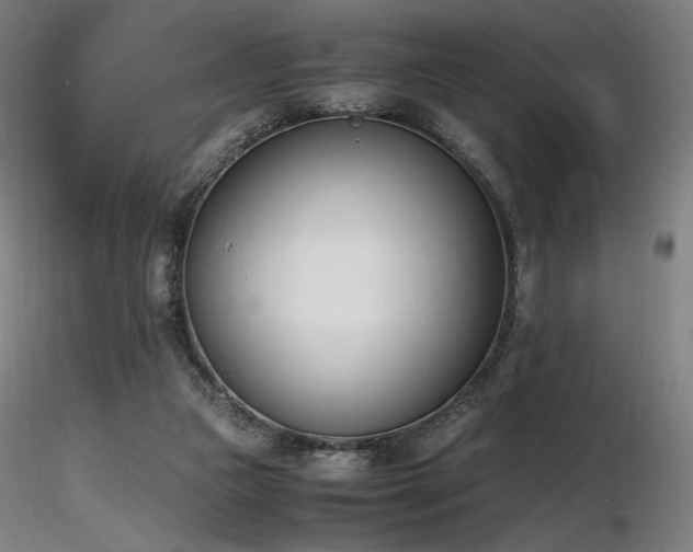 X0000116820161200912181416