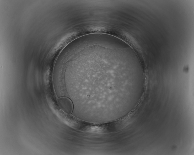 X0000116820163200912181416