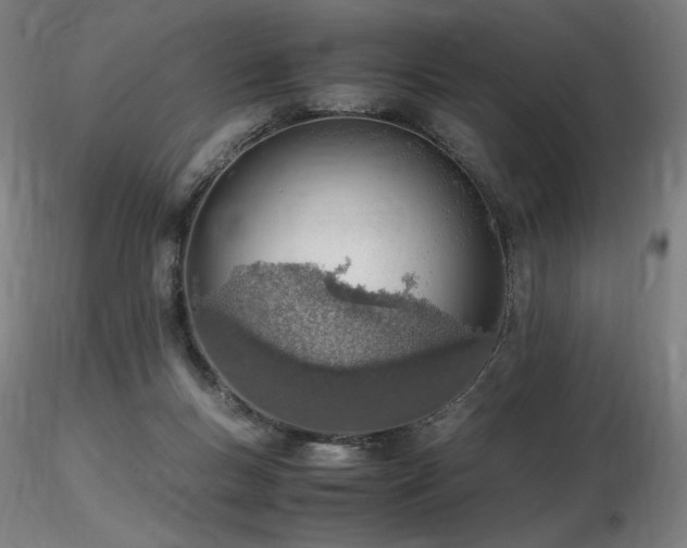 X0000116820167200912181416