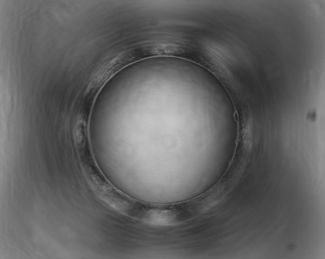 X0000116820169200912181416