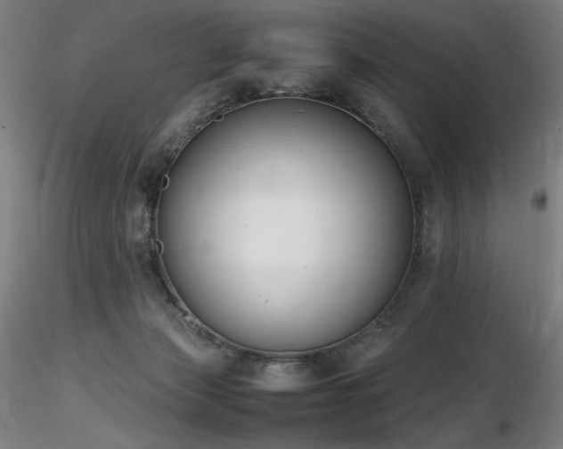 X0000116820173200912181416