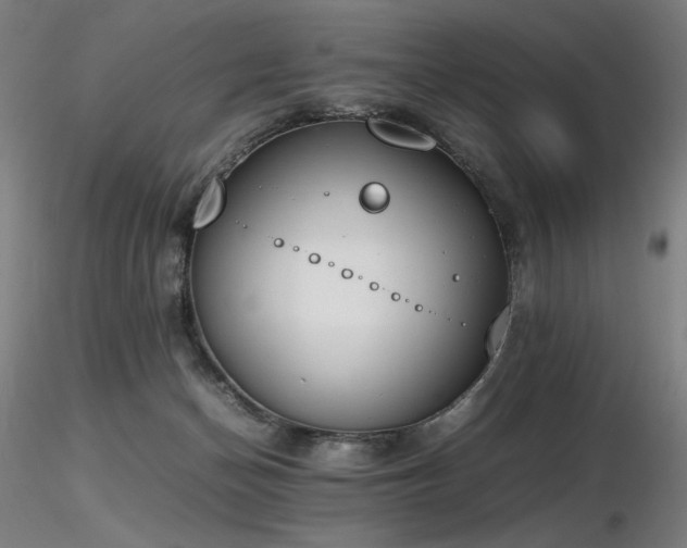 X0000116820174200912181416