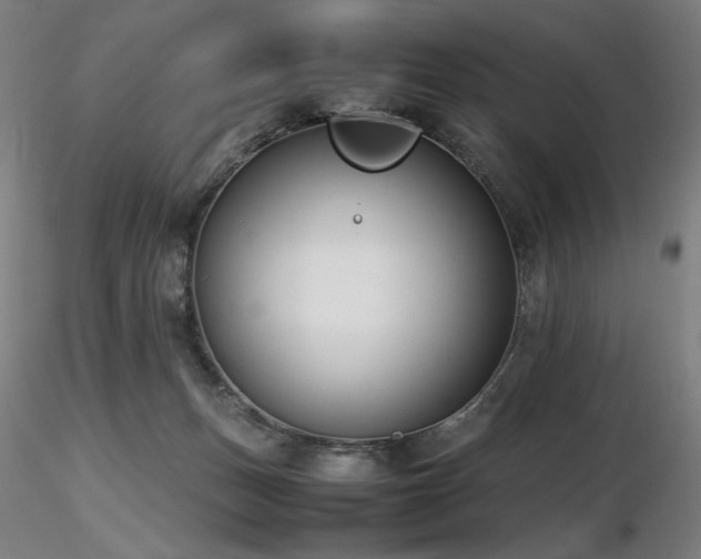 X0000116820175200912181416