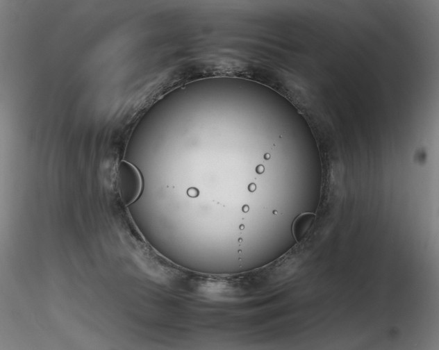 X0000116820177200912181416