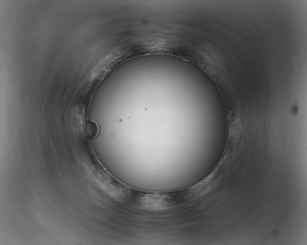 X0000116820179200912181416