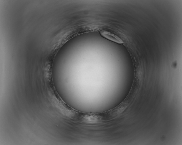 X0000116820181200912181416